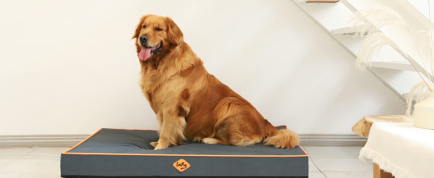 Laifug Outdoor Waterproof Dog Bed for Small, Medium and Large Dogs - Dog Bed Washable, Jacket Fabric, Egg Orthopedic Foam Pet Dog Bed with Removable Durable Cover and Non-Slip Bottom