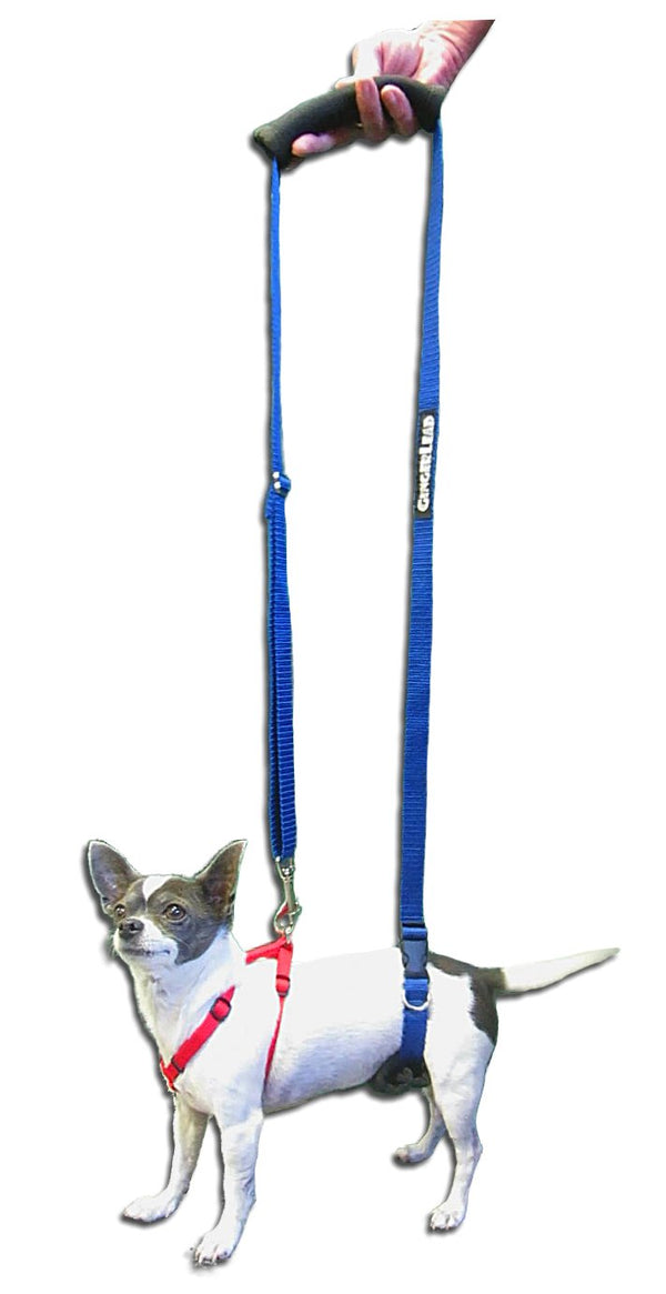 GINGERLEAD Dog Support Sling Harness, X-Small Fits Little Pets Under 25 lbs or Dachshunds with IVDD, Spinal Disc Disease, or Back Injuries. Assist Old or Recovering Pets. Chest Harness NOT Included.