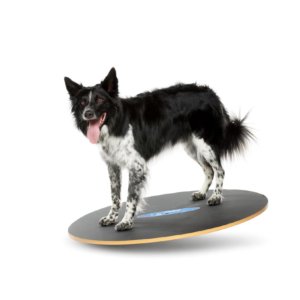 FitPaws Wobble Board - Dog Balance Training Equipment for Core Strength & Stability Canine Fitness & Rehabilitation Tool 36"