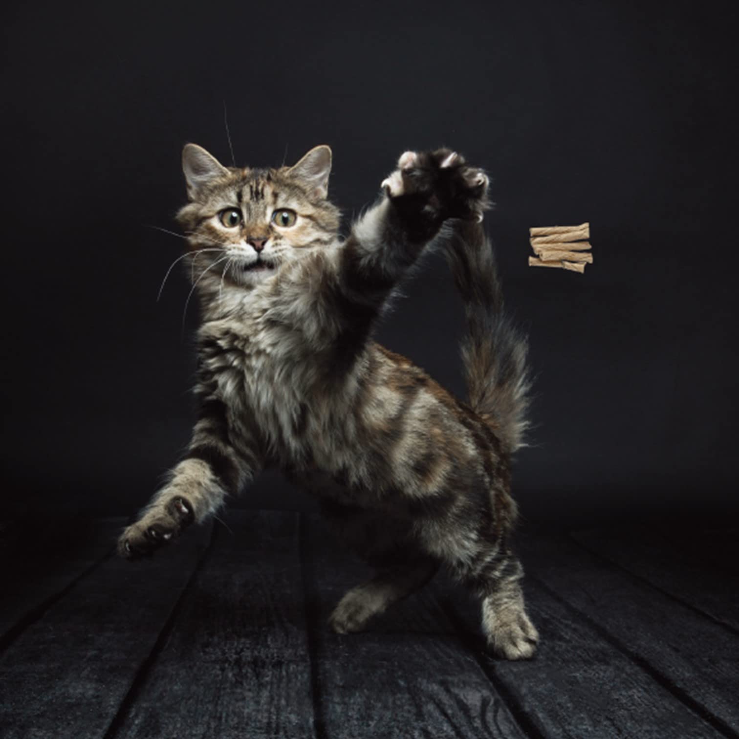 Cat Dancer Products 101 Interactive Cat Toy, Brown