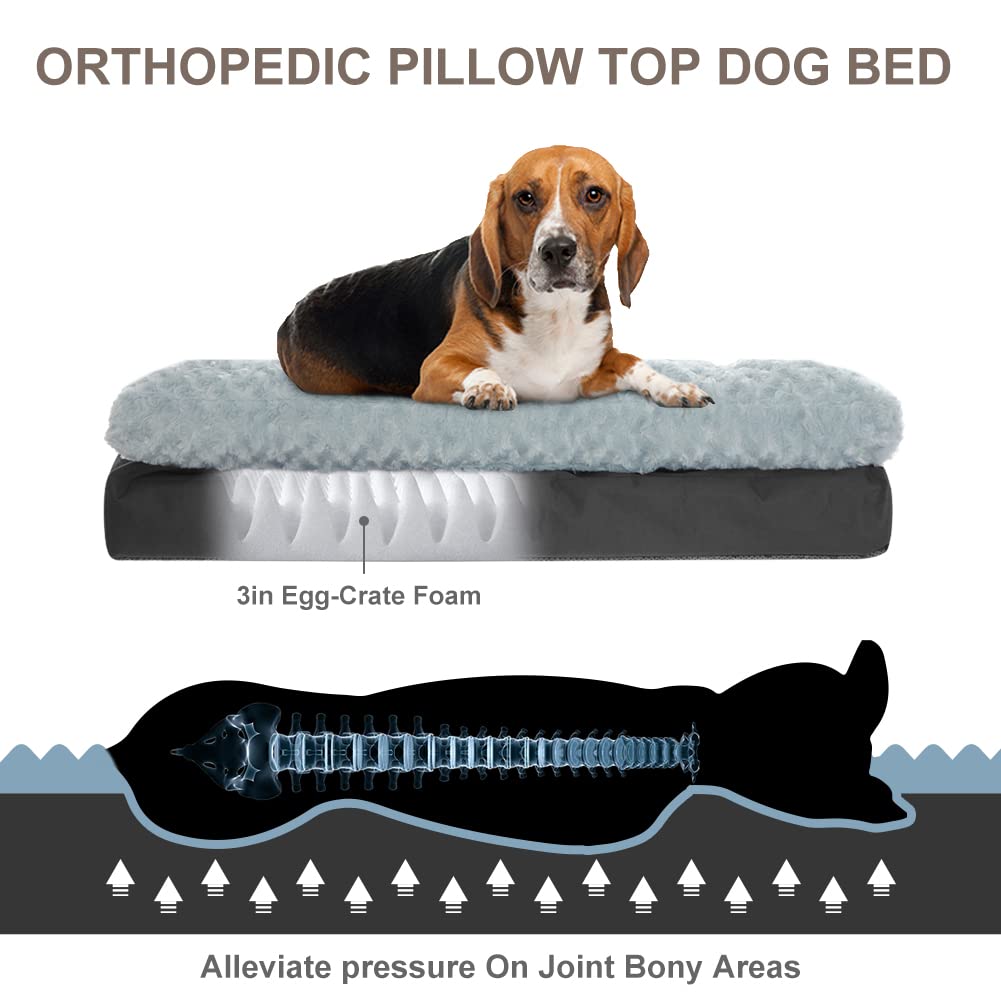 CBBPET Orthopedic Dog Bed for Small Medium Dogs with Plush Egg FoamSupport, Super Soft Washable Dog Bed, Top Soft,Bottom Canvas, Waterproof Dog Bed, Relaxing Sleep(Cool & Warm)