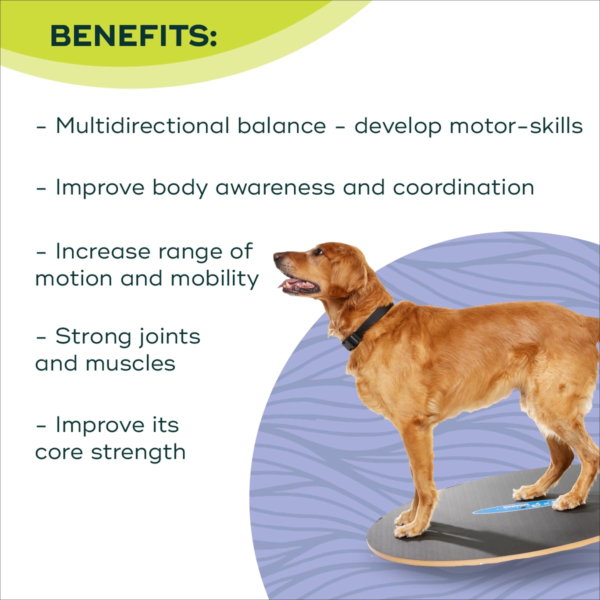 FitPaws Wobble Board - Dog Balance Training Equipment for Core Strength & Stability Canine Fitness & Rehabilitation Tool 36"