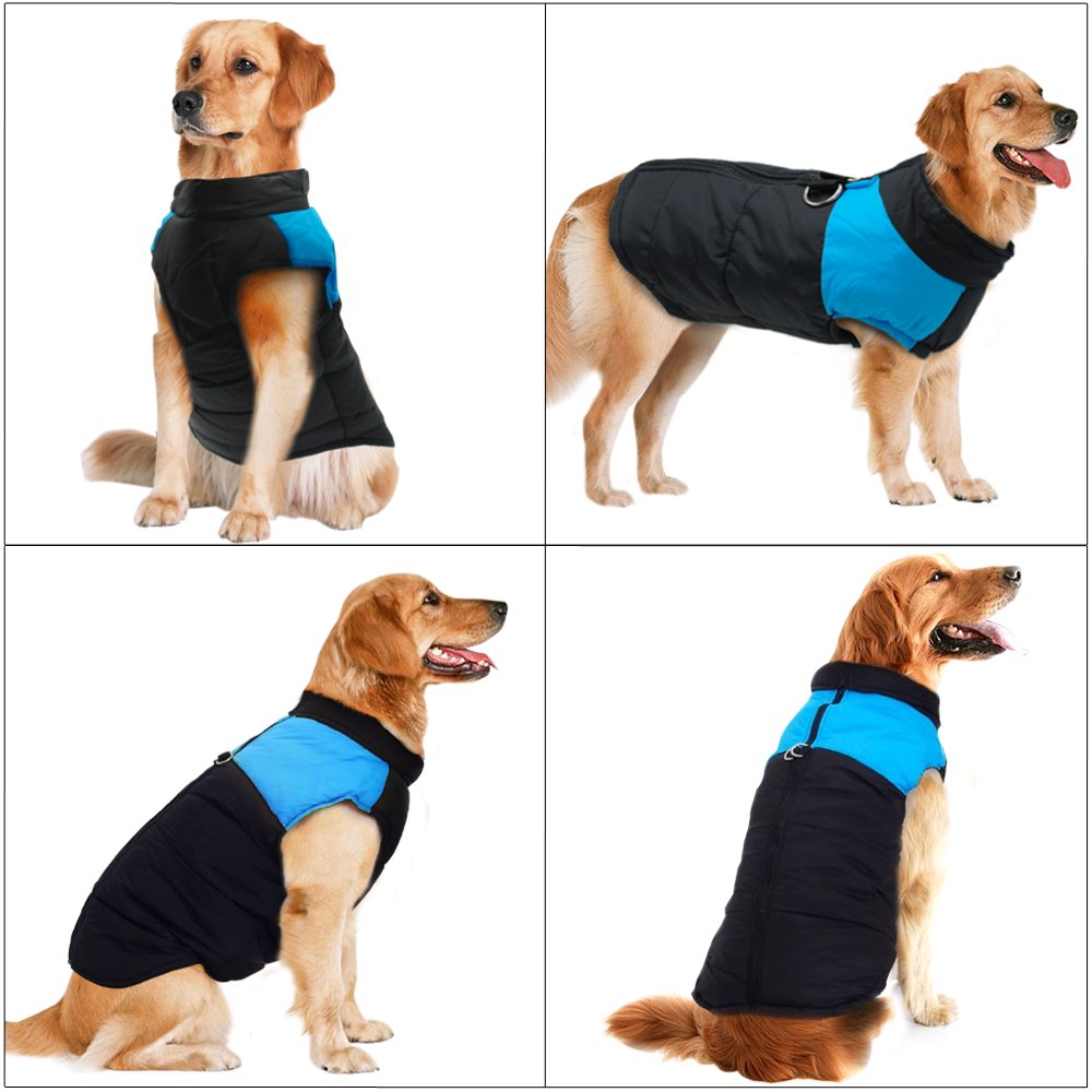 Didog Cold Weather Dog Warm Vest Jacket Coat,Pet Winter Clothes for Small Medium Large Dogs(Chest 11 Inch; Back Length 8 Inch, Blue)