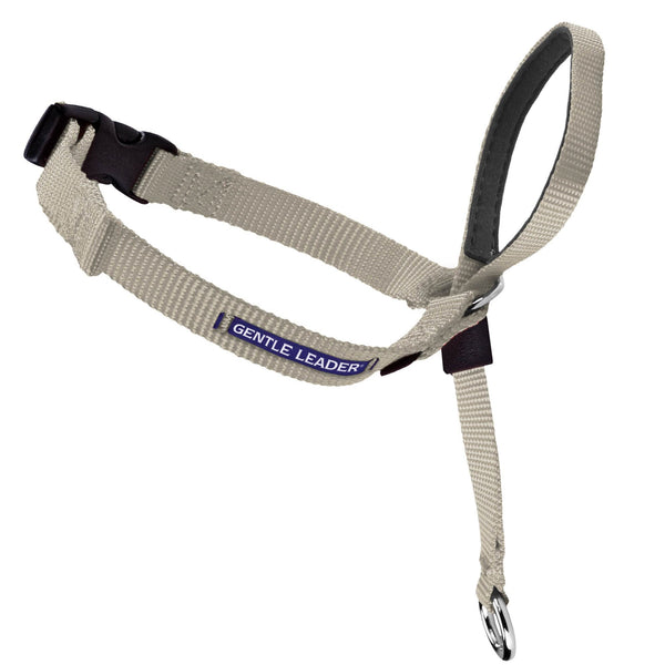 PetSafe Gentle Leader Headcollar - No Pull Dog Collar for Better Leash Manners - Comfortable Head Harness - Adjustable Nose Loop - Lightweight Walking Collar - Fawn - Petite