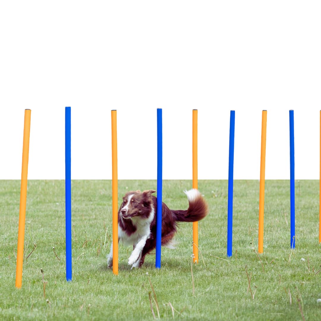 Trixie Dog Agility Slalom Course - 12 Adjustable Weave Poles Backyard Set - Portable Training Equipment with Carrying Bag & Training Guide - for All Breeds