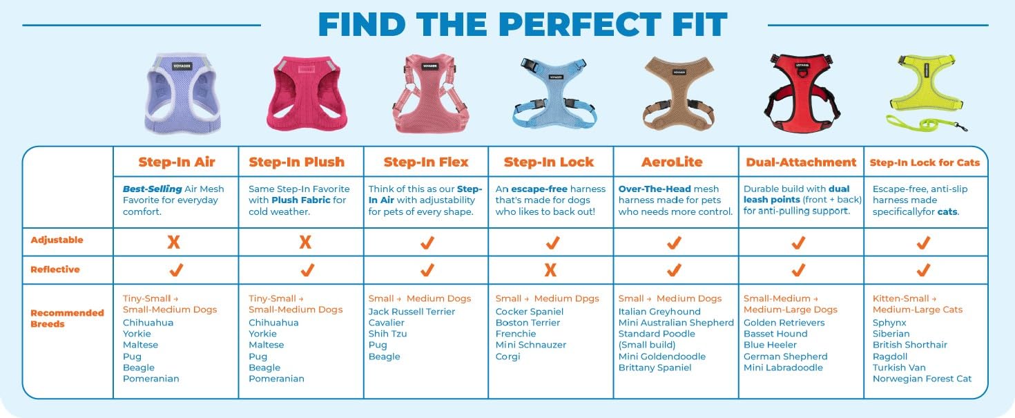 Best Pet Supplies Voyager Step-in Air Harness - All Weather Mesh, Reflective, No Pull Harness for Dogs, Cats - Secure with Hook & Loop Fastener, Buckle, Double D-Rings - Purple/Black Trim, XXS