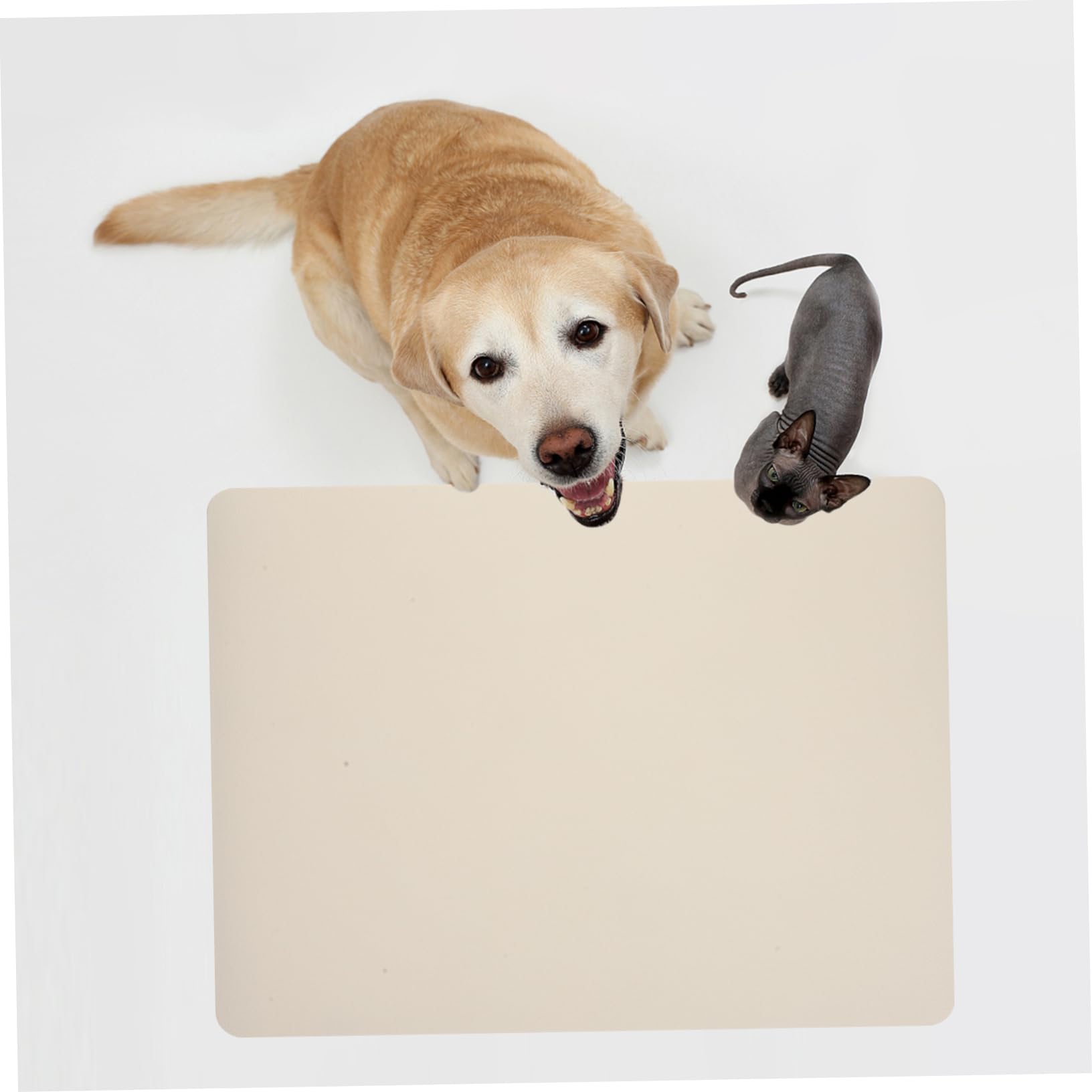 Absorbent Dog Bowl Mat - Quick-Dry Diatomite Feeding for Cats and Dogs Non-Slip, Durable, and Stylish Design
