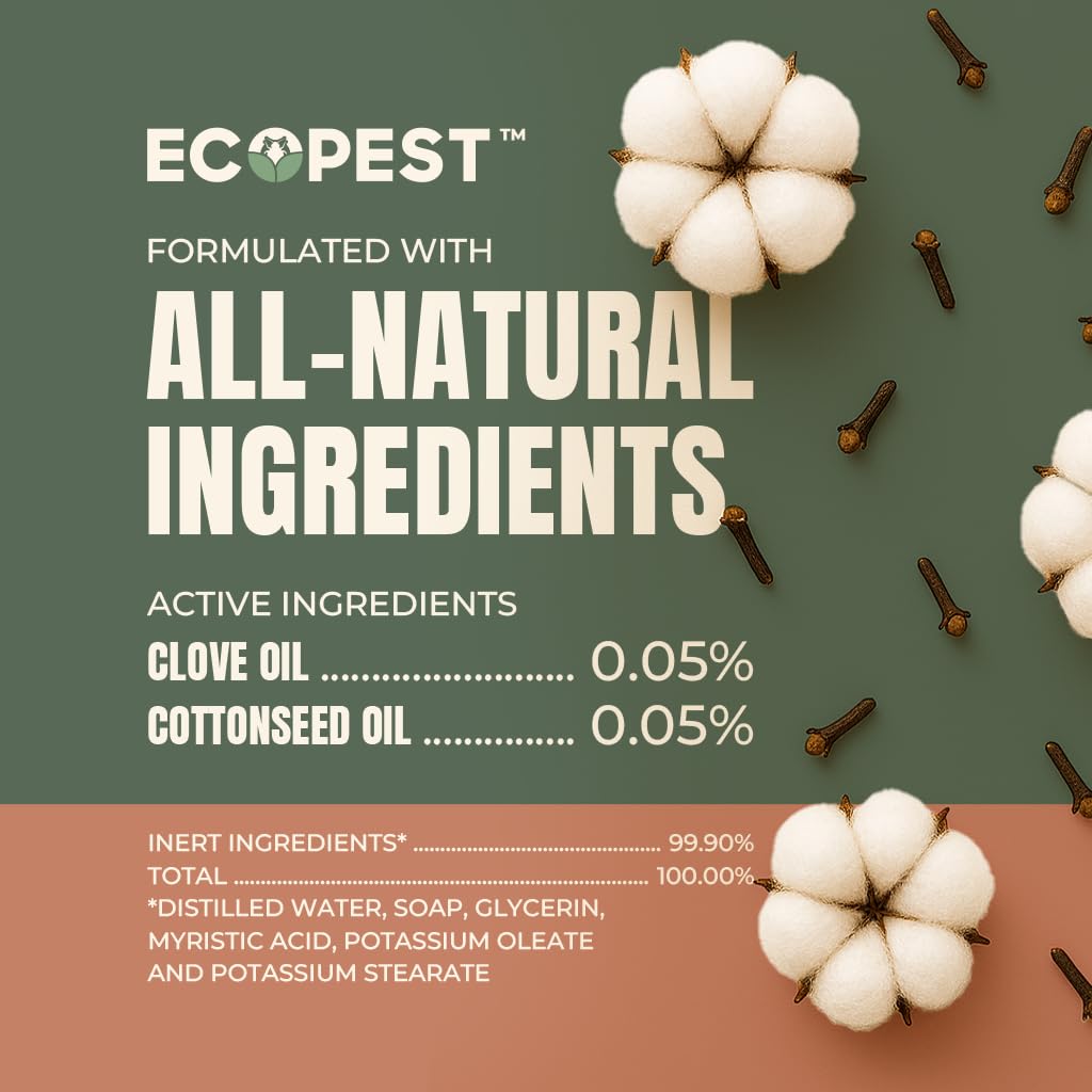 Boxelder Bug & Asian Lady Beetle Spray – Natural, Plant-Based Indoor & Outdoor Killer | Non-Staining, Safe for Doors, Windows, Siding & Baseboards | Child & Pet Safe, Low Odor, Eco-Friendly (22 oz)
