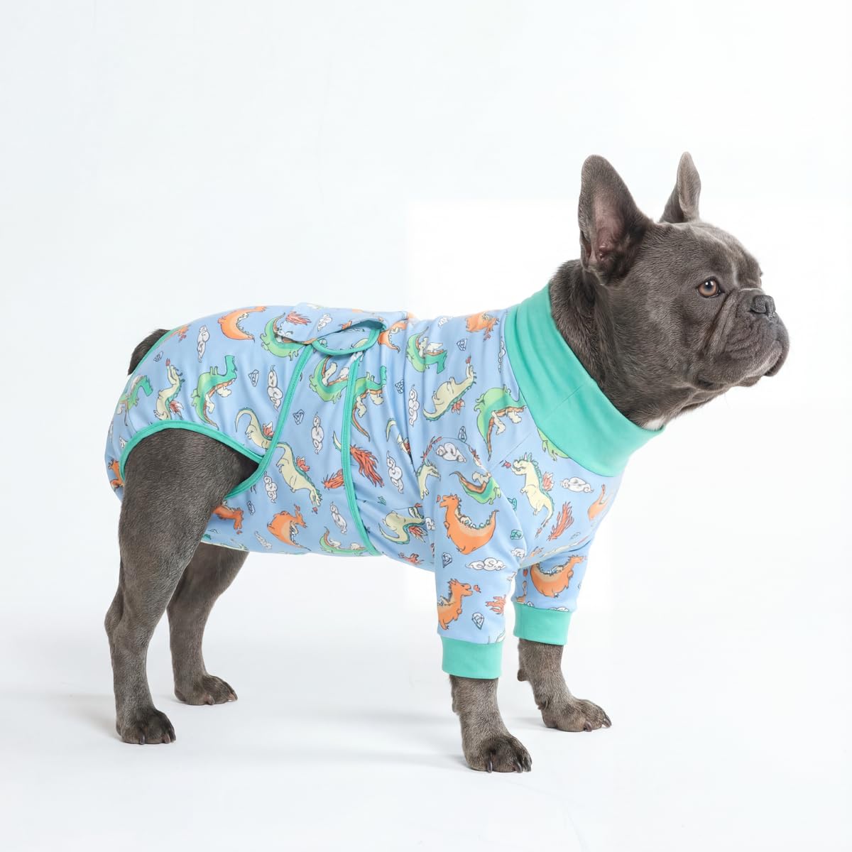 Spark Paws Dog Surgery Recovery Suit – Dog Recovery Suit After Surgery, Anti-Lick Dog Onesie, Abdominal Wound Protector, Soft Cone Alternative for Spay Neuter Male Female Pet Recovery - Dragons - 5XL