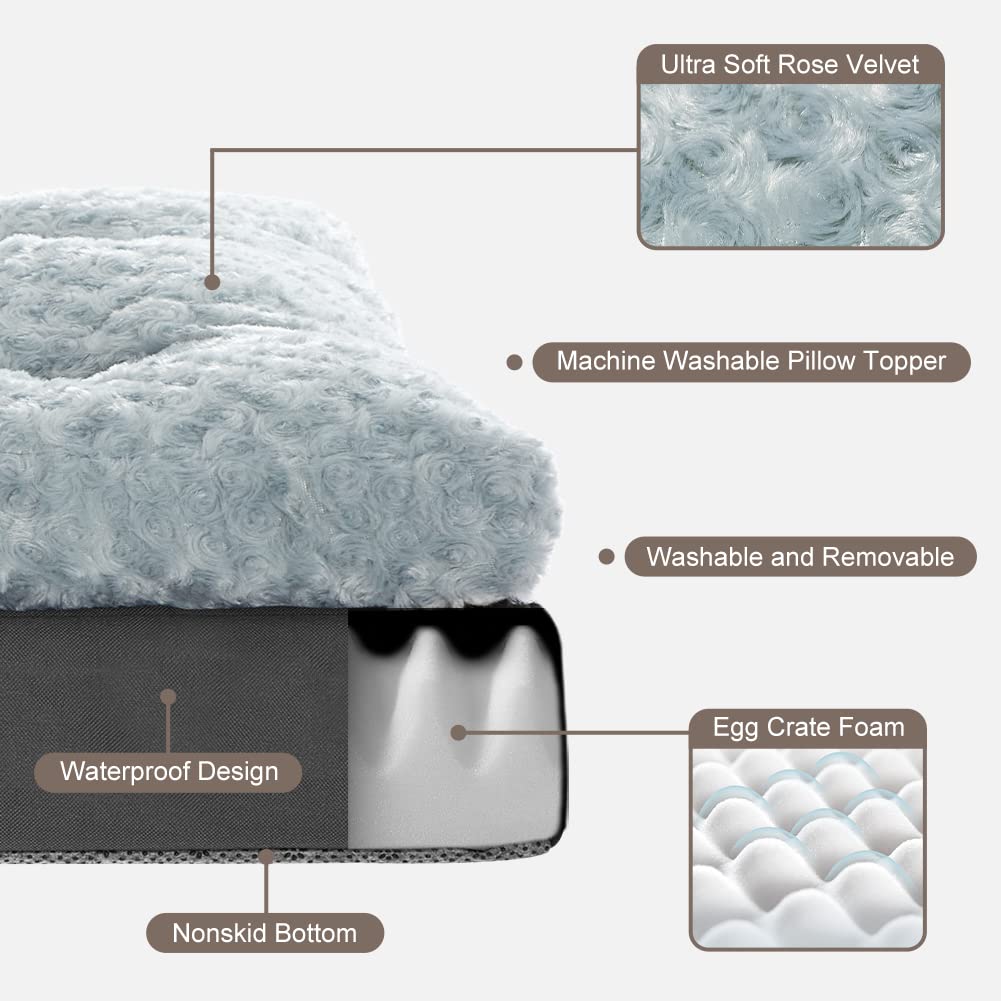 CBBPET Orthopedic Dog Bed for Small Medium Dogs with Plush Egg FoamSupport, Super Soft Washable Dog Bed, Top Soft,Bottom Canvas, Waterproof Dog Bed, Relaxing Sleep(Cool & Warm)