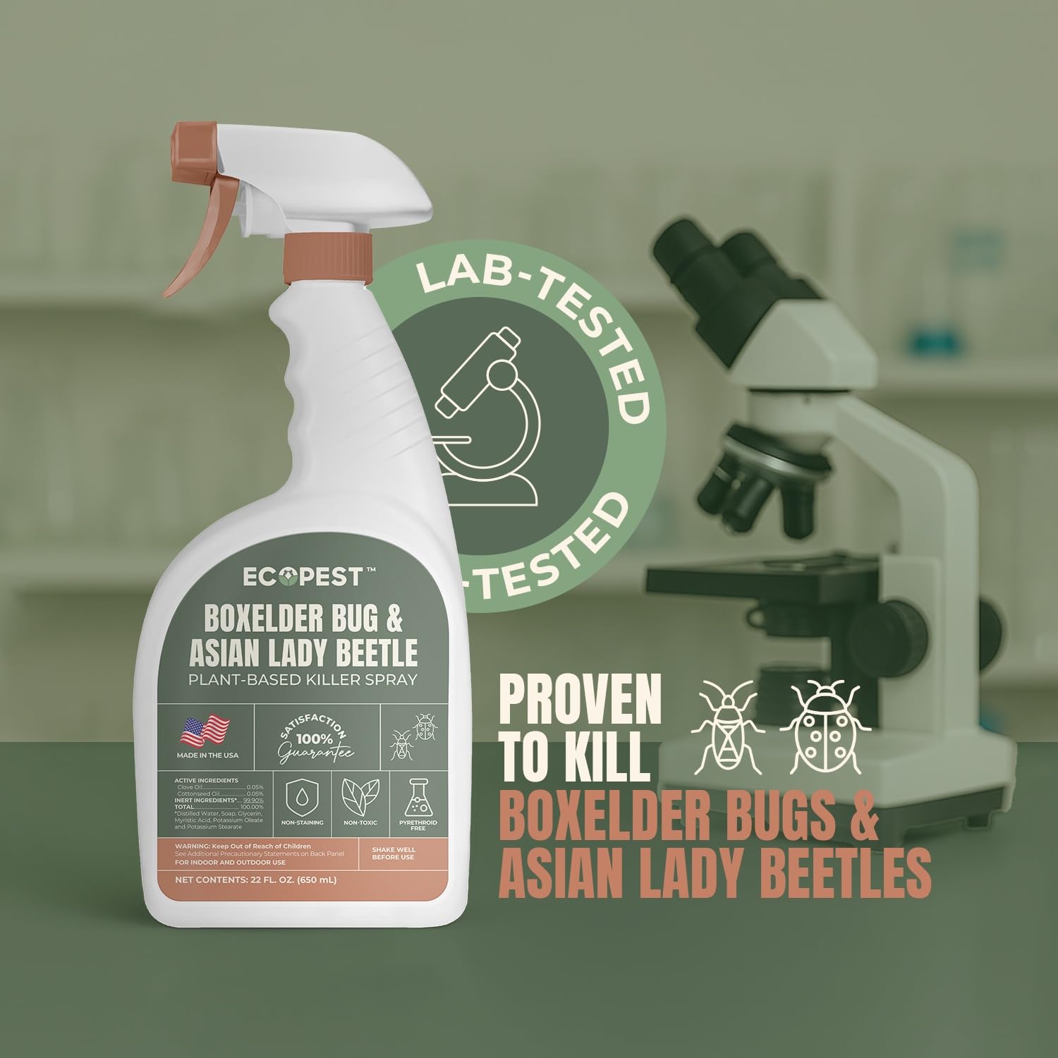 Boxelder Bug & Asian Lady Beetle Spray – Natural, Plant-Based Indoor & Outdoor Killer | Non-Staining, Safe for Doors, Windows, Siding & Baseboards | Child & Pet Safe, Low Odor, Eco-Friendly (22 oz)