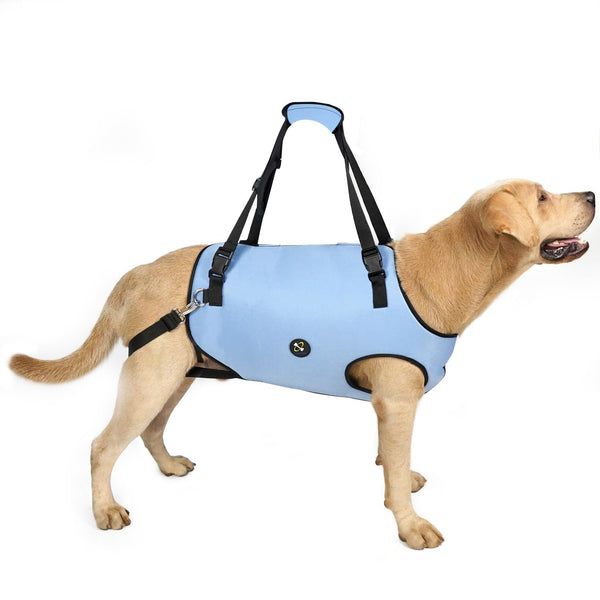 Coodeo Dog Lift Harness, Pet Support & Rehabilitation Sling Lift Adjustable Padded Breathable Straps for Old, Disabled, Joint Injuries, Arthritis, Loss of Stability Dogs Walk (Blue, XL)