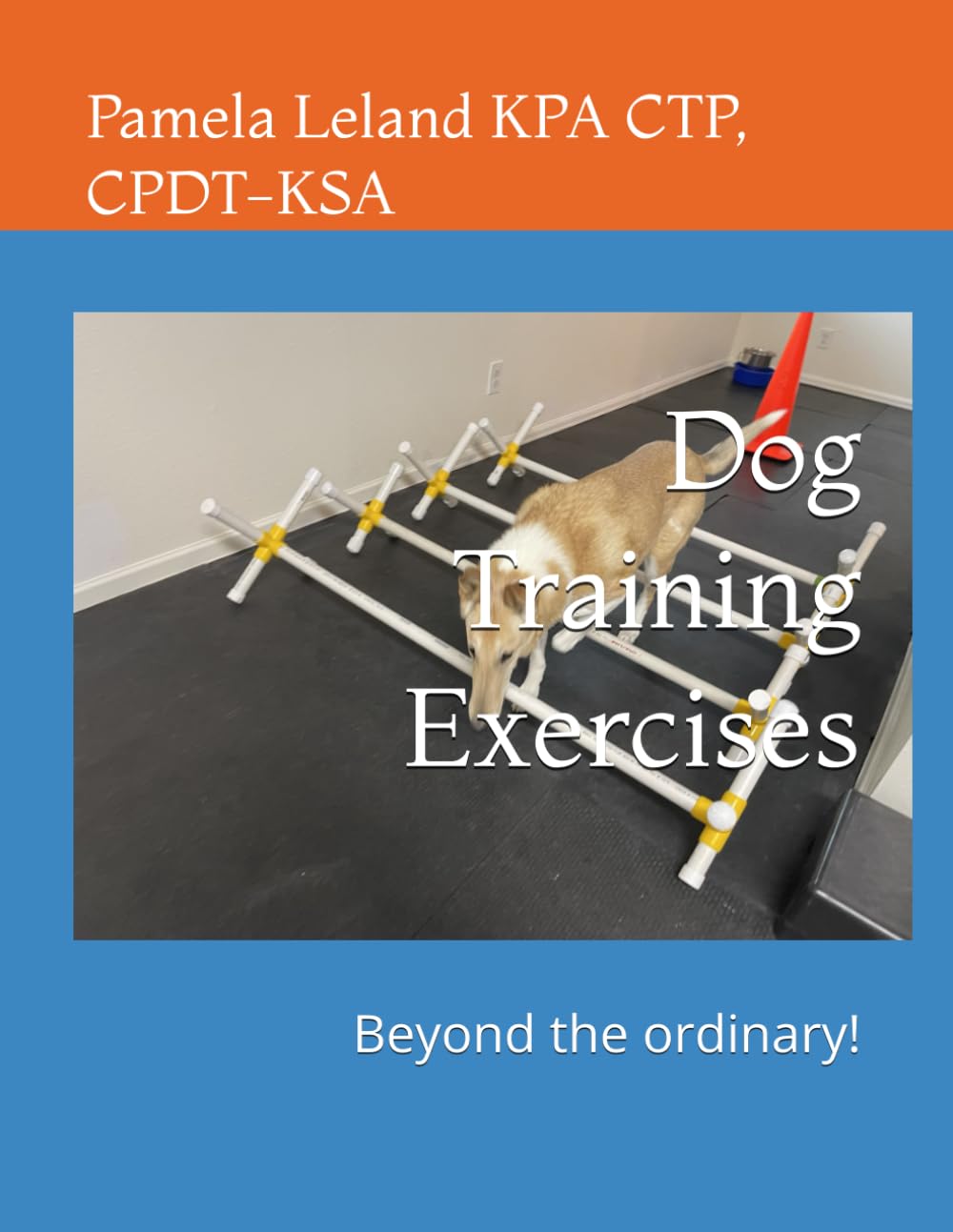 Dog Training Exercises: Beyond the ordinary!