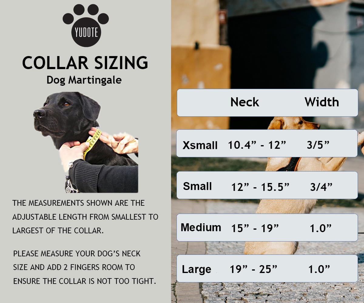 YUDOTE Martingale Dog Collars with Quick Snap Buckle Adjustable Flamingo Pattern Training No Pull Collars for Female Male Small Dogs (Medium,Flamingo)