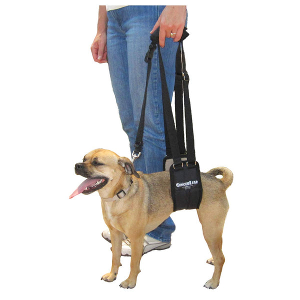 GINGERLEAD Dog Sling Support Harness, SM Female fits Small to Medium Size Pets or Larger Barrel Chested Dogs Like Boxers or Bullies. Padded Rear Lifting Aid with Leash. Made in U.S.A.