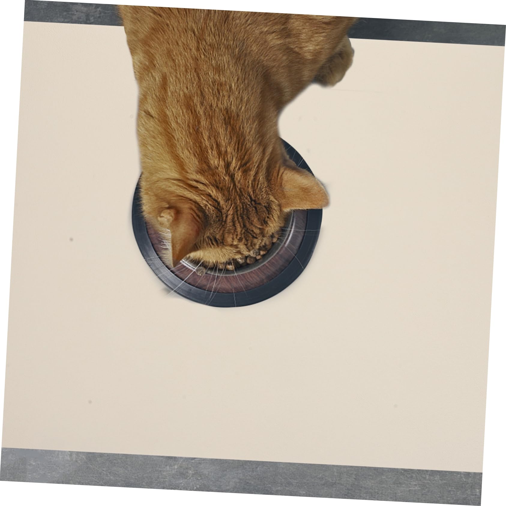 Absorbent Dog Bowl Mat - Quick-Dry Diatomite Feeding for Cats and Dogs Non-Slip, Durable, and Stylish Design