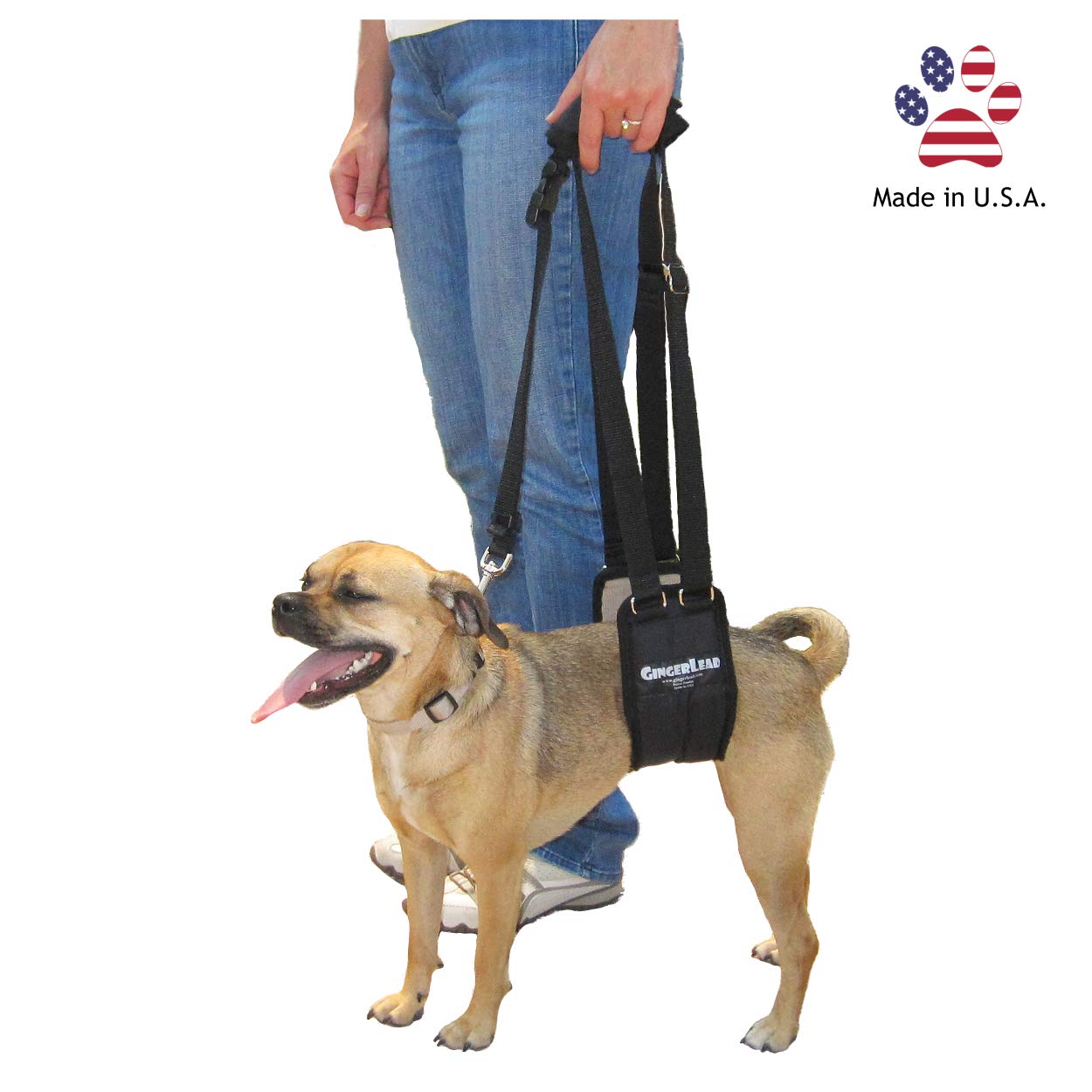 GINGERLEAD Dog Sling Support Harness, SM Female fits Small to Medium Size Pets or Larger Barrel Chested Dogs Like Boxers or Bullies. Padded Rear Lifting Aid with Leash. Made in U.S.A.