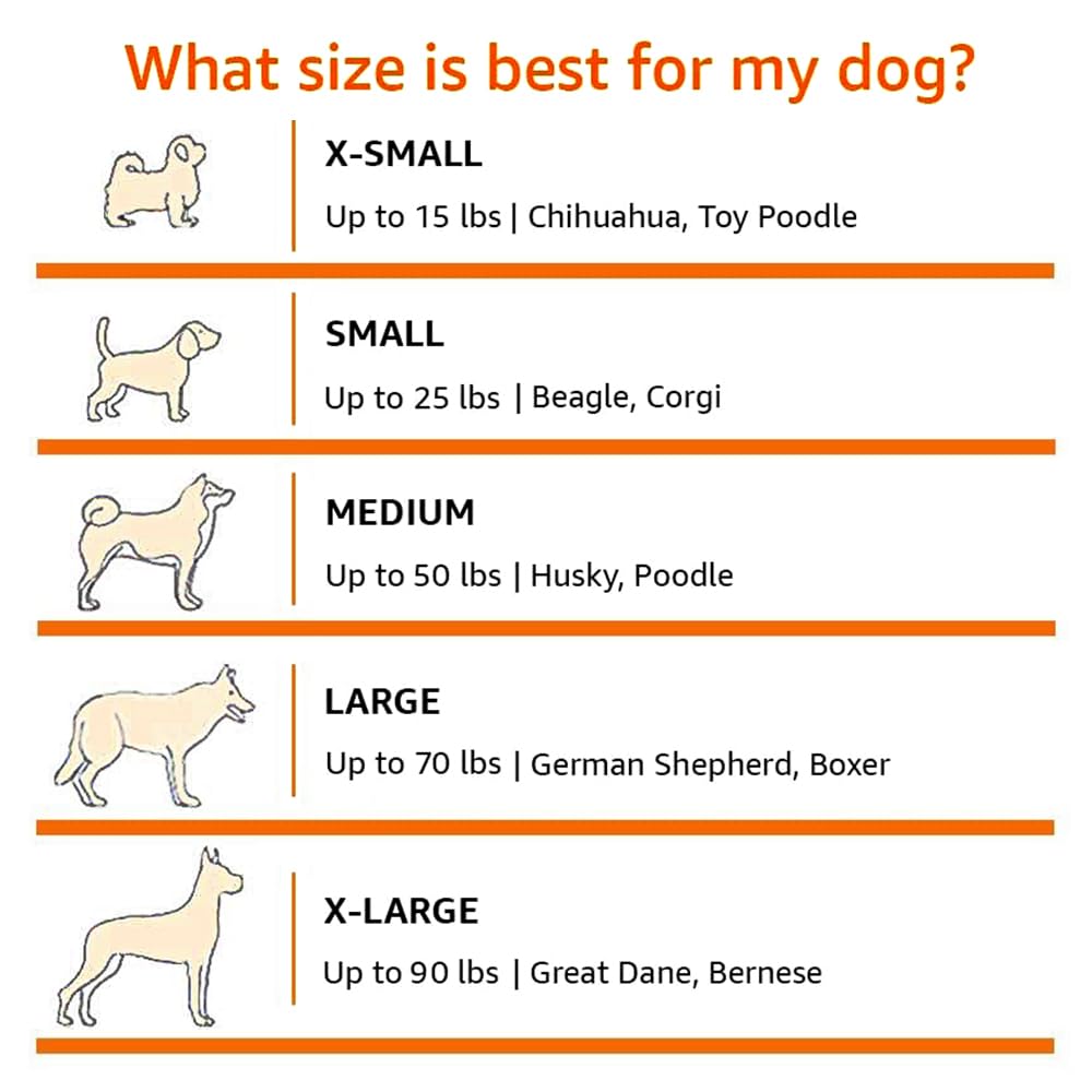 Amazon Basics Portable Folding Soft Dog Crate, Double Door, Collapsible Travel Kennel, Easy to Set Up, Sturdy, Secure, XL 42" x 31" x 31", Tan