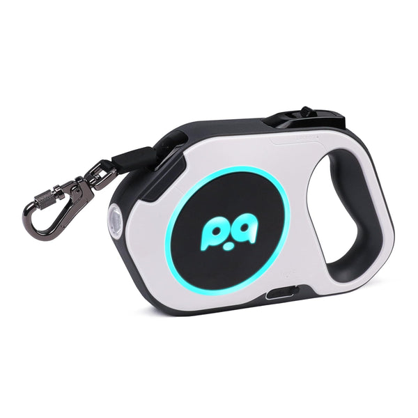 QQPETS Retractable Dog Leash with Rechargeable LED Light - 16 ft Strong Nylon Tape for Night Walks up to 88lbs Pet - 360° Tangle-Free One-Handed Brake, Pause, Lock (White)