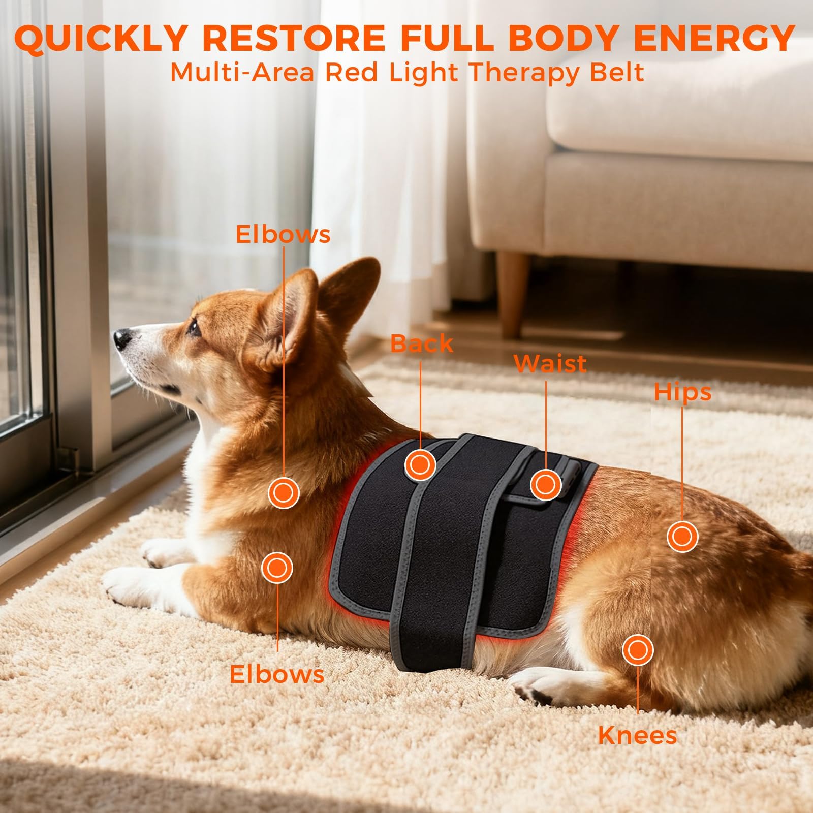 13.8"*7" Red Light Therapy Pad for Dogs Body, 70 LEDs Redlight Therapy Wrap with Timer, Heating Mat Products with Band for Back Belly Leg Knee Thigh, Gifts for Men, Women, Pets Dog