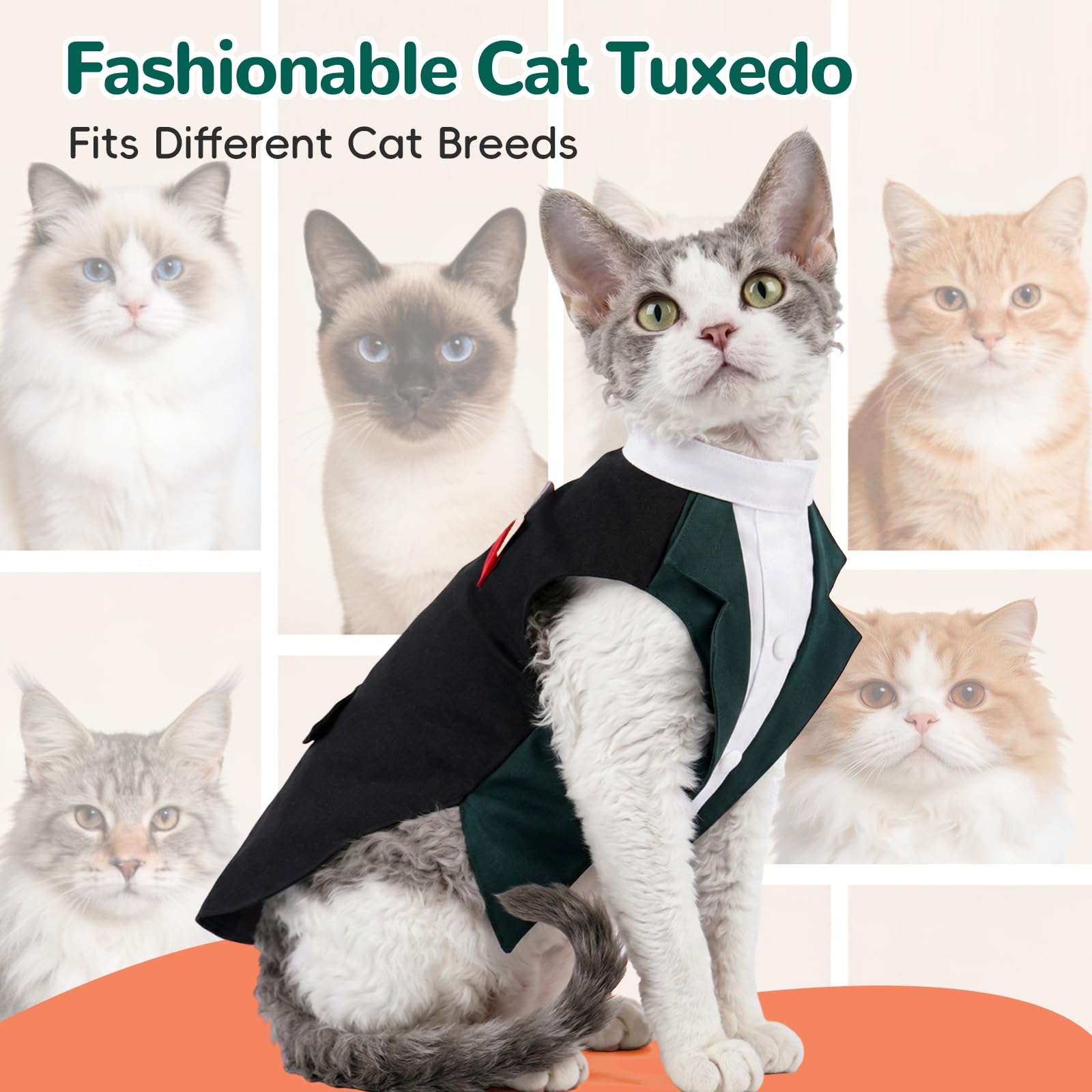 Black Cat Tuxedo Suit, Size for All Cats,Stylish Cat Tuxedo Outfit Formal Suit, Kitten Formal Attire Wedding Birthday Onesie Costume, Pet Fashion Apparel Fancy Clothes