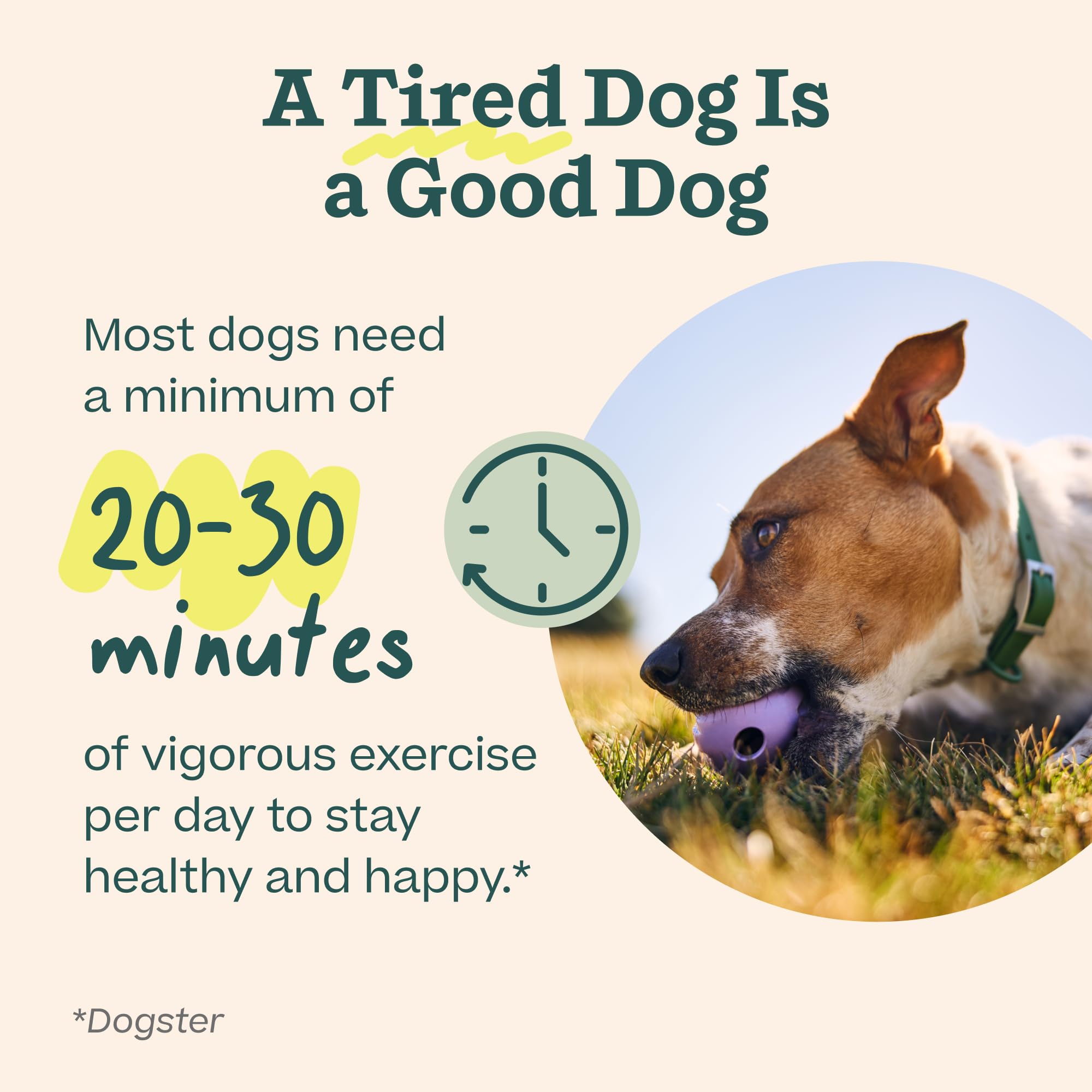 WOOF Walkabout- Small Large Green - Parent