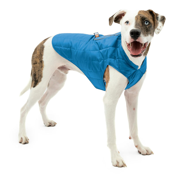 Kurgo Loft Dog Jacket - Reversible Cozy Coat for Outdoor Adventures - Water Resistant - Athletic Fit - Machine Washable Fabric - Reflective Dog Gear - Medium - Coastal Blue