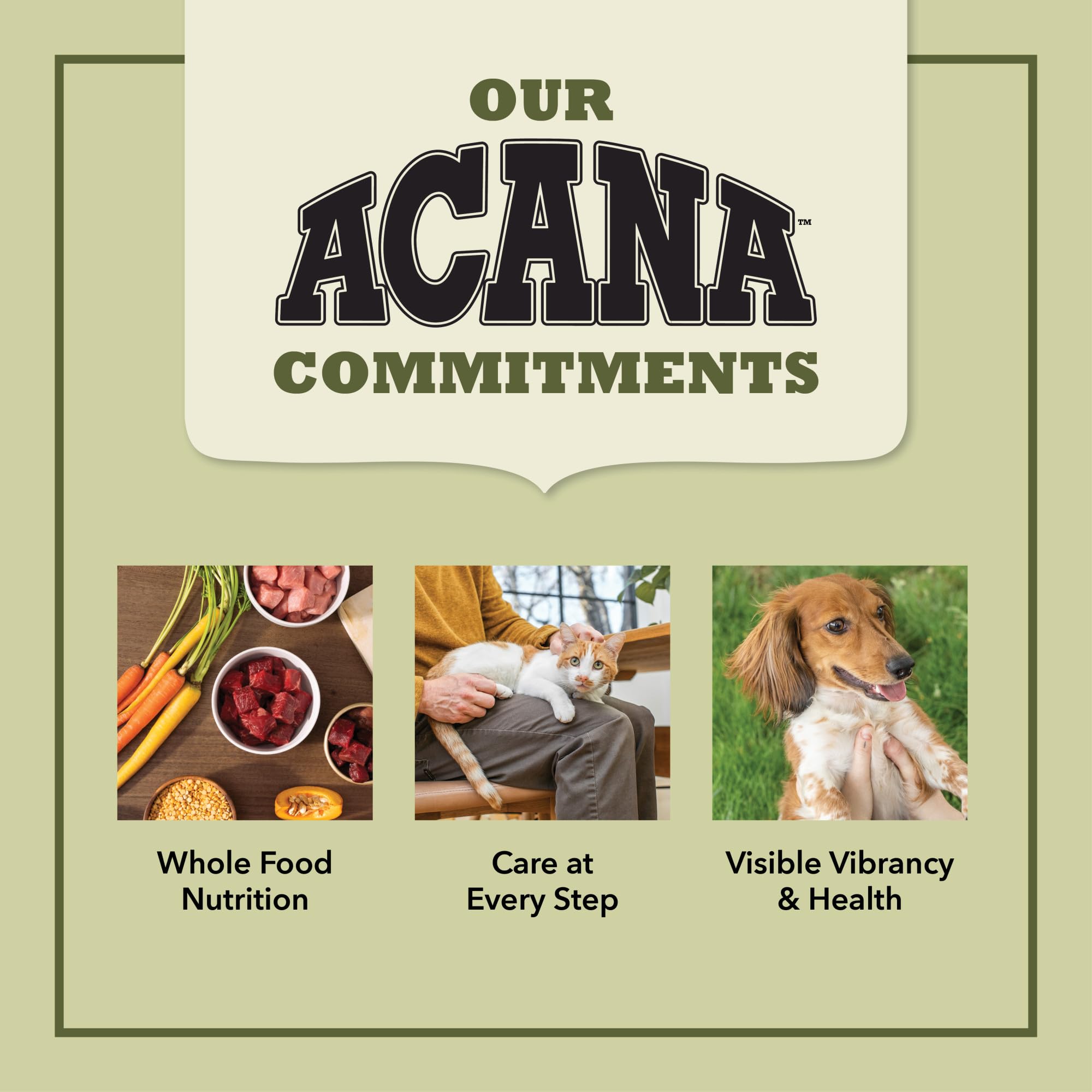 ACANA Wholesome Grains Dry Dog Food Puppy Recipe Real Chicken Eggs and Turkey 11.5lb Bag