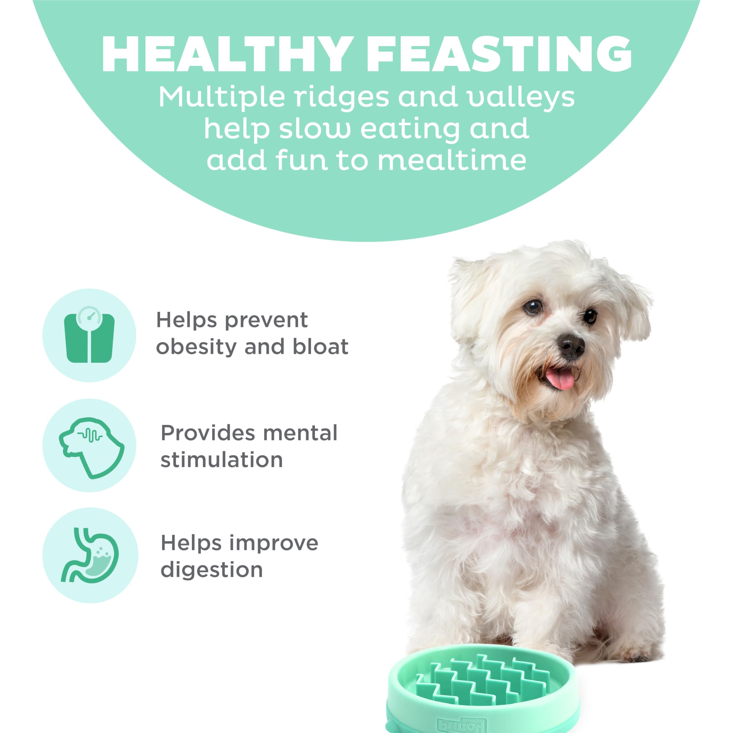 Outward Hound Fun Feeder Slo Bowl – Small 3/4-Cup Capacity, Slow Feeding, Small Dogs, Puppies & Cats, Non-Slip, Mint, Wave Pattern