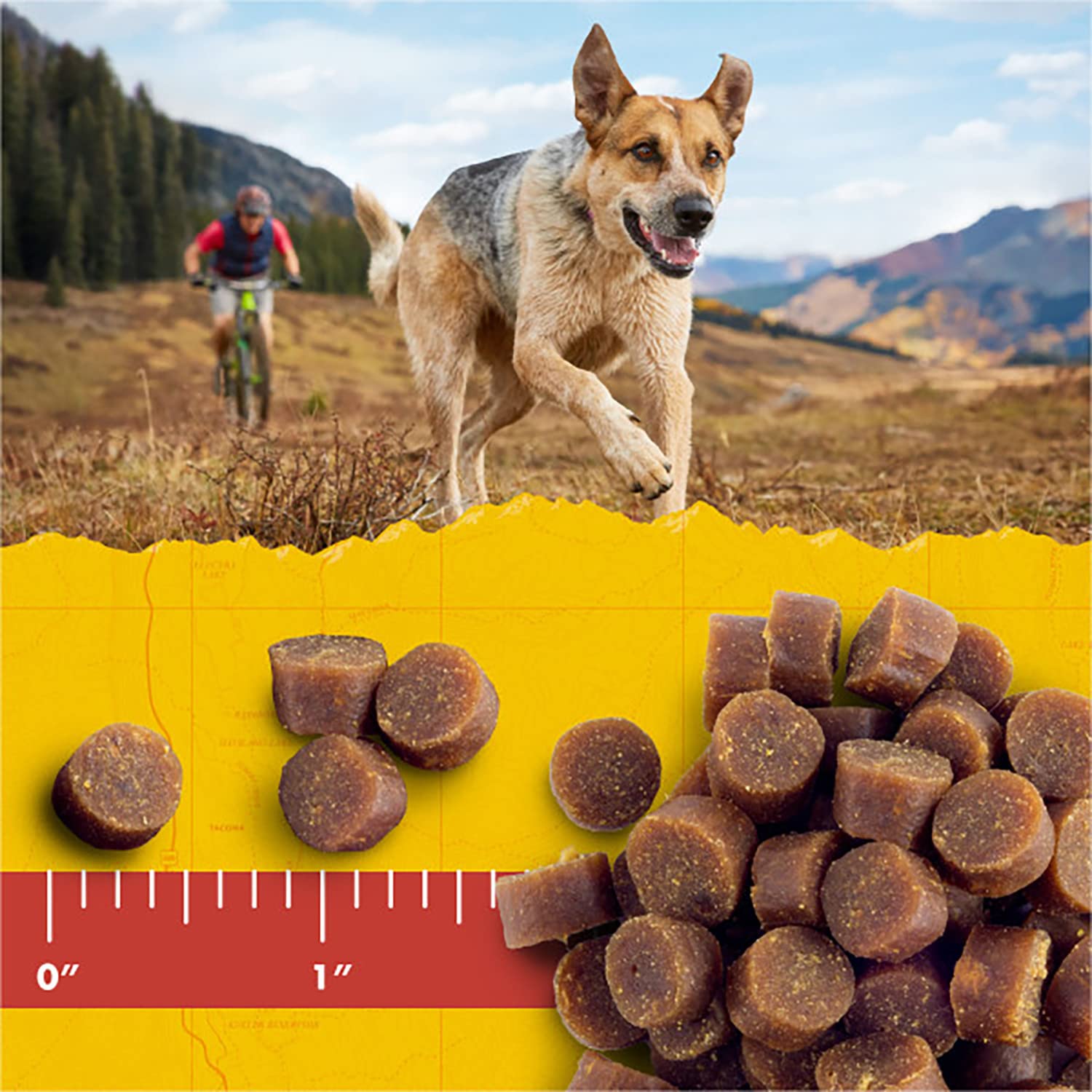 Zuke's Mini Naturals Dog Training Treats, Salmon Recipe, Soft Mini Dog Treats with Vitamins & Minerals, Made for All Breed Sizes (Salmon, 16 Ounce (Pack of 2)