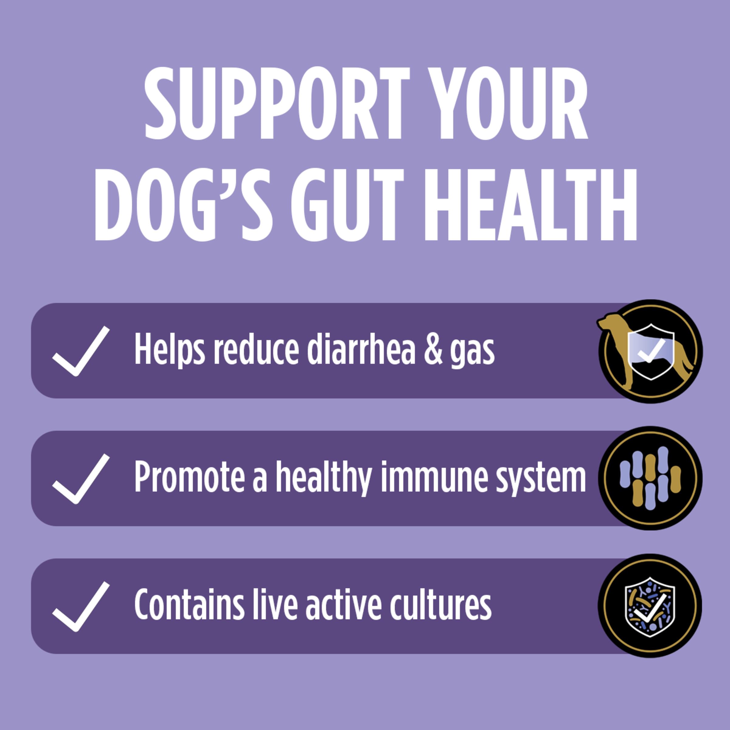 Purina Pro Plan Veterinary Supplements FortiFlora Daily Probiotics for Dogs, Helps Digestive Gut Health and Diarrhea - 30 ct. Box