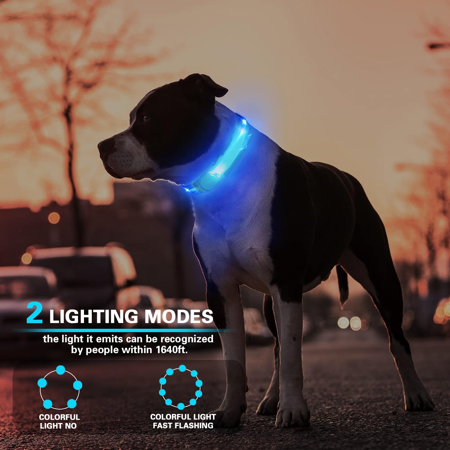2 Pack LED Light for Dog Leash Harness, USB Rechargeable Light Up Collar with Nylon Stickers, Glow Light Easy to Attach to Collar Leash and Harness, Safety LED Light Up Band for Dogs at Night Walking