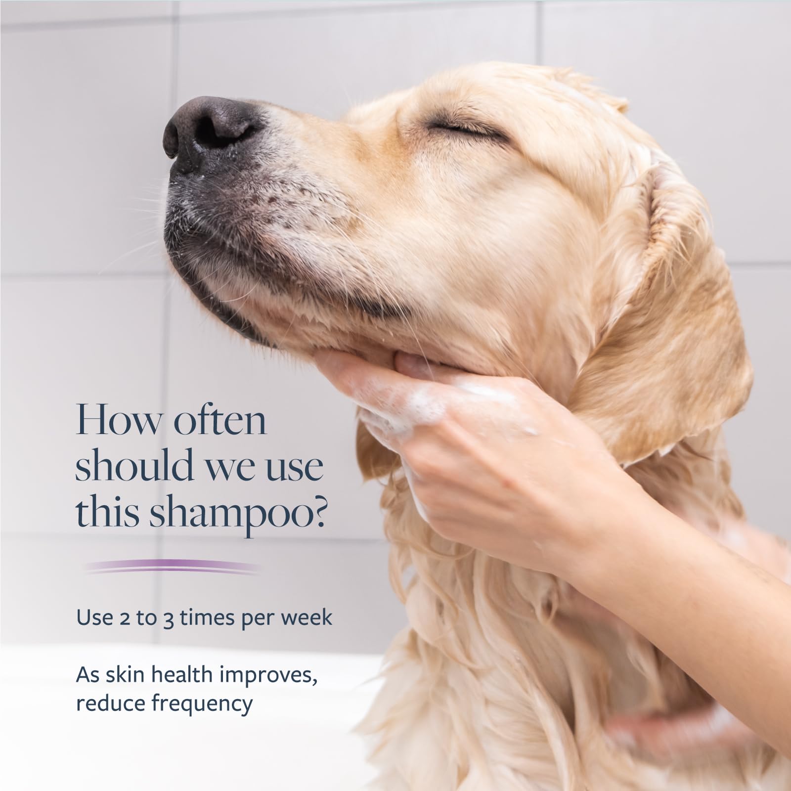 Veterinary Formula Clinical Care – Antiparasitic & Antiseborrheic Medicated Dog Shampoo – Supports Dry, Irritated Skin and Helps Soothe Occasional Itchy Spots – 16 oz