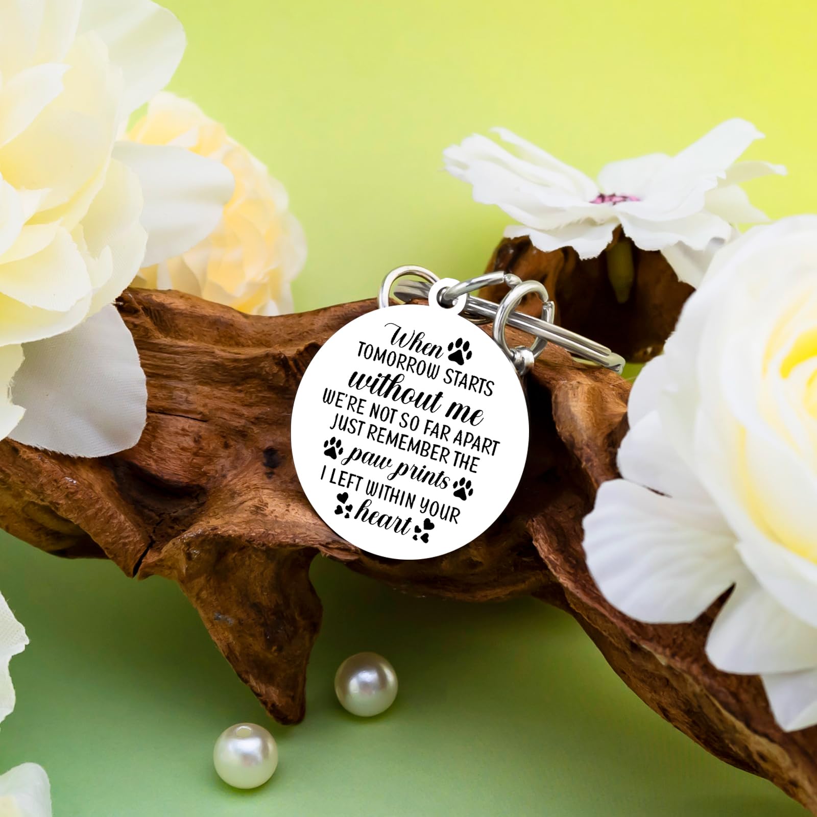 VIESUJI Pet Memorial Gifts for Dogs Memorial Gifts for Loss of Dog Sympathy Gift In Memory of Dogs Remembrance Gift Paw Print Keychain
