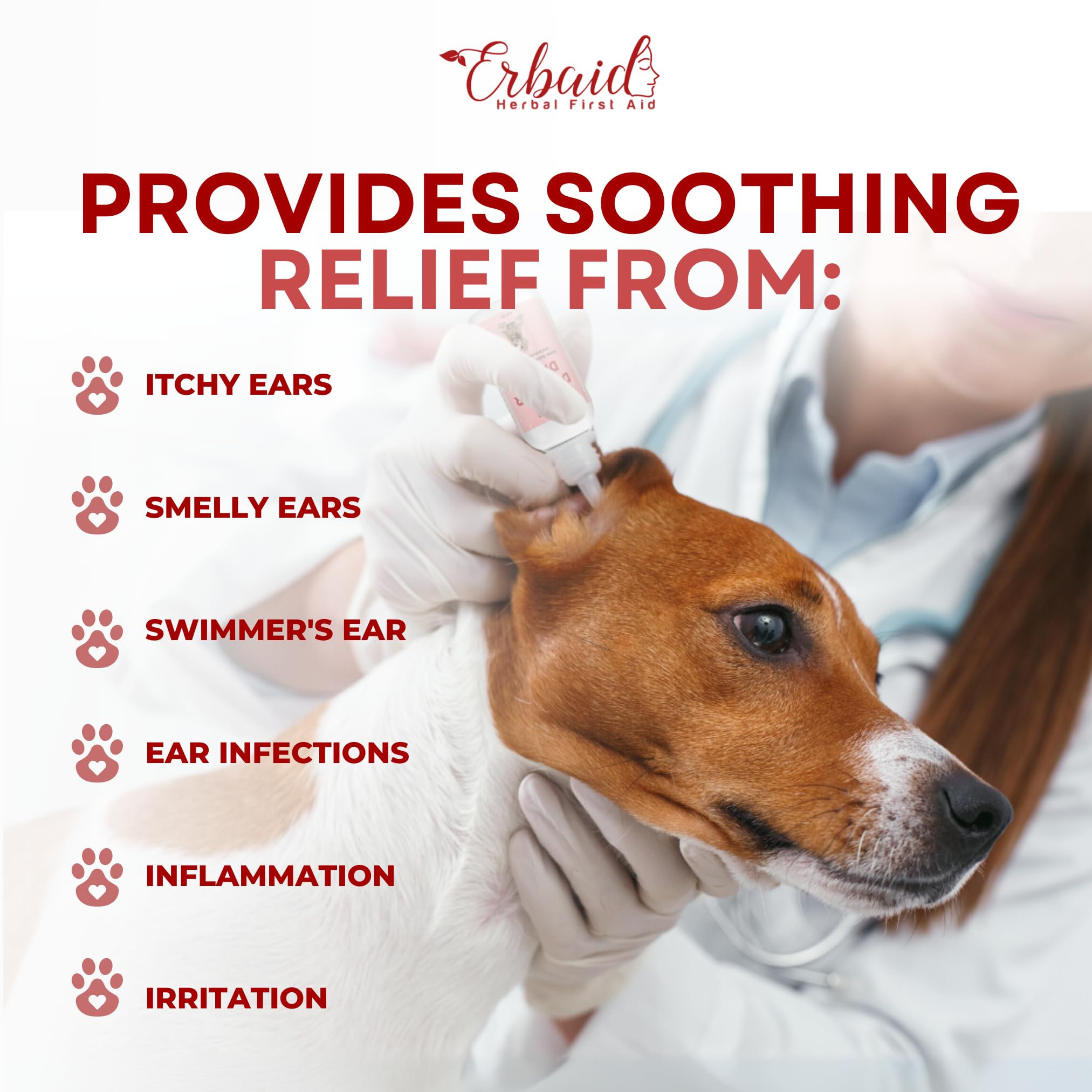 Dog Ear Cleaner – All Natural Ear Drops for Dogs Ear Infection – Eliminates Yeast Odor, Loosens Wax, Prevents Infections, Relieves Itching – Safe, Gentle, Effective Itchy Ear Relief, Made in USA