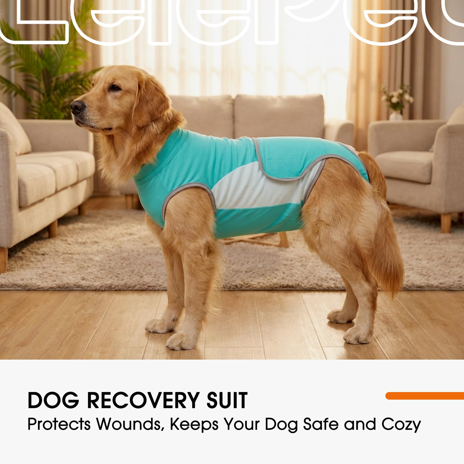 LeLePet Dog Surgery Recovery Suit,Soft Recovery Suit for Dogs,Dog Onesie for Surgery Female Spay & Male Neuter,Protective Pet Post-Op Clothes with Back Zipper Anti Licking,E-Collar Cone Alternative