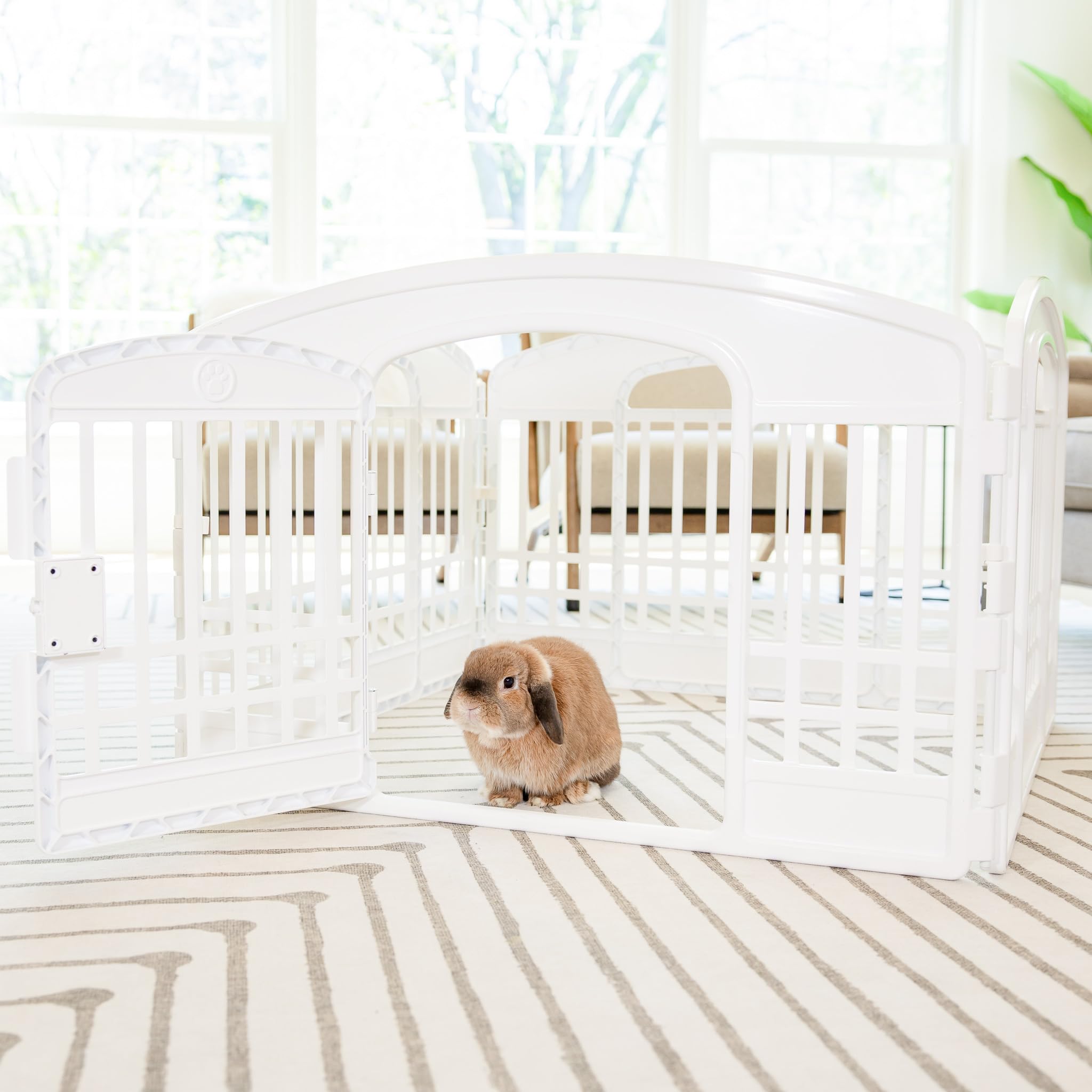 Carlson 4-Panel Plastic Pet Pen – Portable, Secure, and Easy-to-Use Playpen for Small Pets | 24" Tall, White, Includes Door and Lock, Ideal for Small Pets, Whelping and Indoor/Outdoor Use