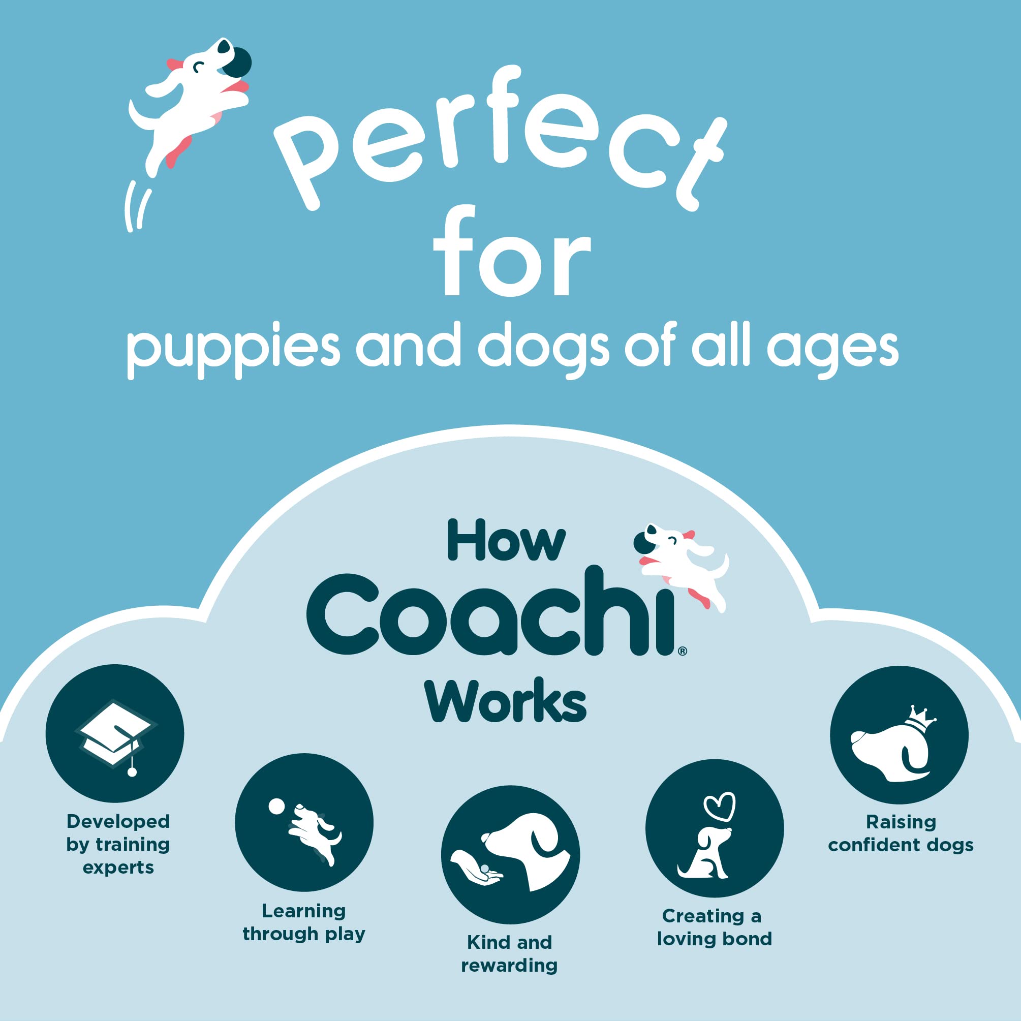 Coachi Target Stick, Telescopic Design with Large Ball for Target, Dog Accessory for Clicker & Agility Training, Teach Commands and Tricks, Navy/Light Blue