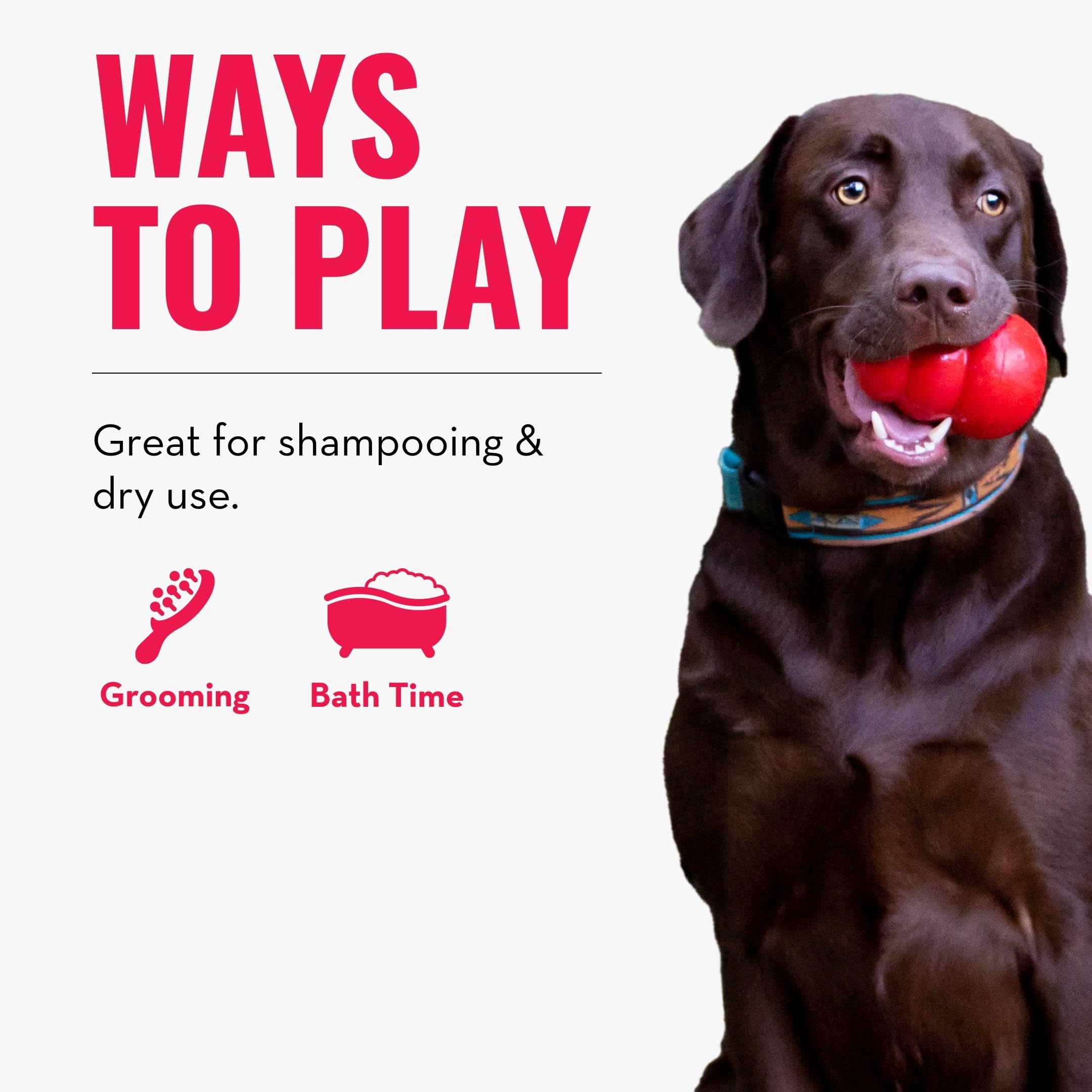 KONG - ZoomGroom - Dog Brush for Grooming and Shampooing - Red Brush for Large Dogs