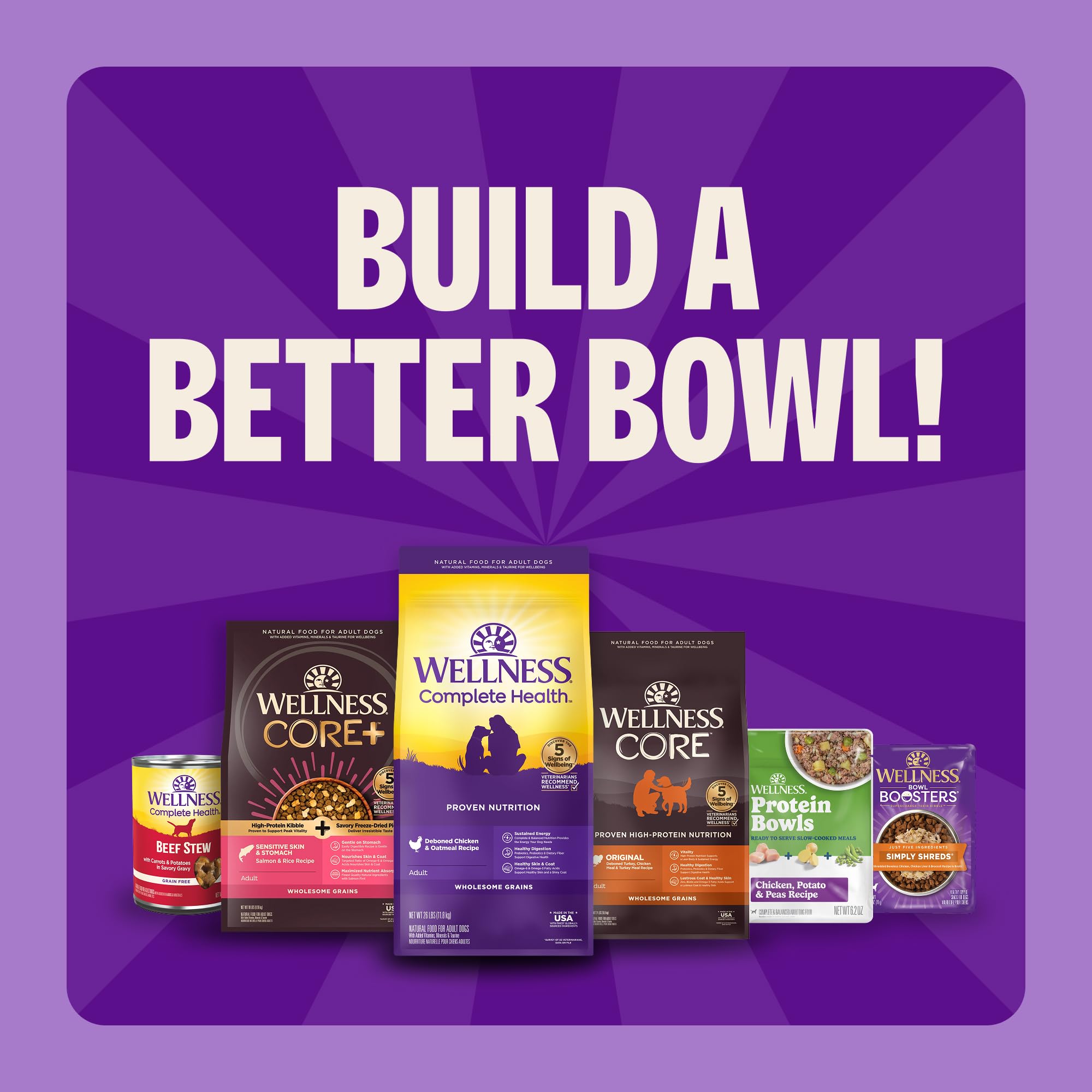 Wellness Complete Health Puppy Dry Dog Food, Wholesome Grain Kibble, Natural, Chicken, Oatmeal, and Salmon Recipe, 30 lb Bag