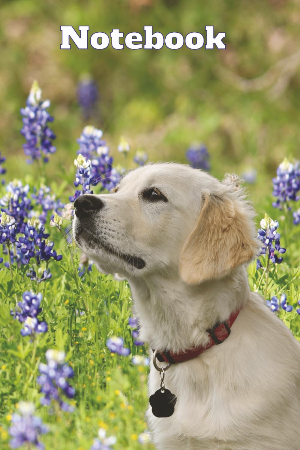 Texas Bluebonnet Golden Retriever Notebook: Aesthetic Wildflower Dog Lover Journal Gift for Women, Teens, and Pet Owners
