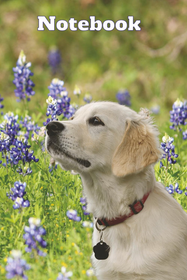 Texas Bluebonnet Golden Retriever Notebook: Aesthetic Wildflower Dog Lover Journal Gift for Women, Teens, and Pet Owners