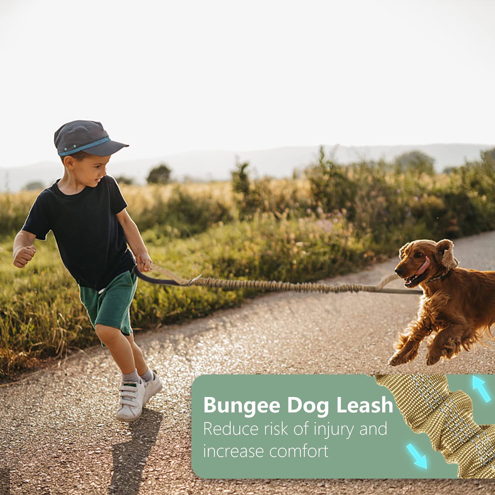 BUMBIN 6Ft Dog Leash Large Dogs, Bungee Dog Leash with 2 Handles, Heavy Duty Leashes for Medium Small Dogs, No Pull Shock Absorbing ，with Car Seat Belt for Training, Brown