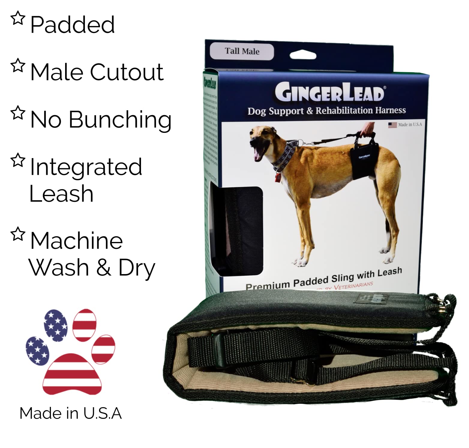 GINGERLEAD Dog Sling Hip Lift Harness, Tall Male fits Tall, Lean Dogs Like Greyhounds or Great Danes. Padded Support Aid to Help Pets Up or Down Stairs, in or Out of Vehicles. Made in U.S.A.