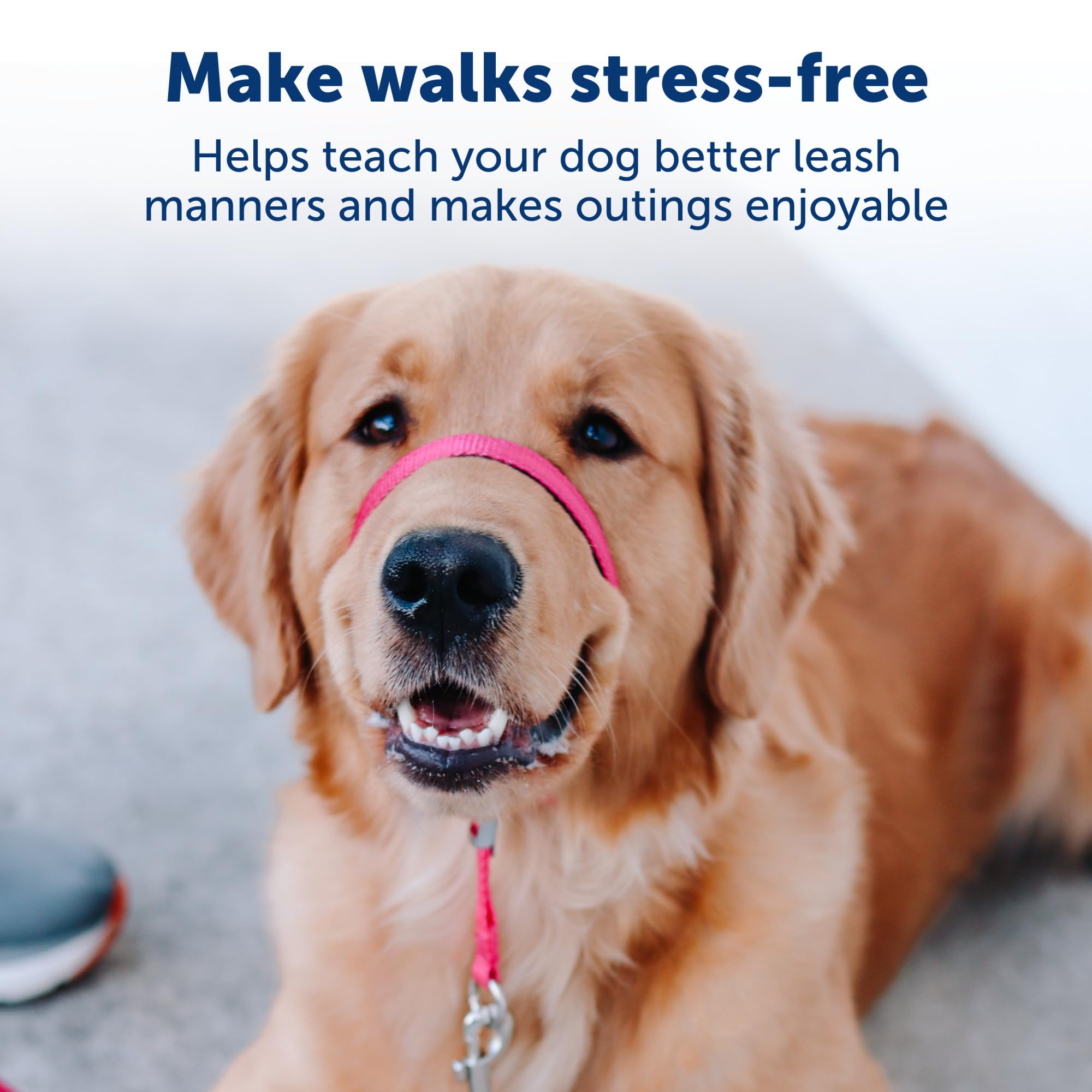 PetSafe Gentle Leader Headcollar - No Pull Dog Collar for Better Leash Manners - Comfortable Head Harness - Adjustable Nose Loop - Lightweight Walking Collar - Fawn - Petite