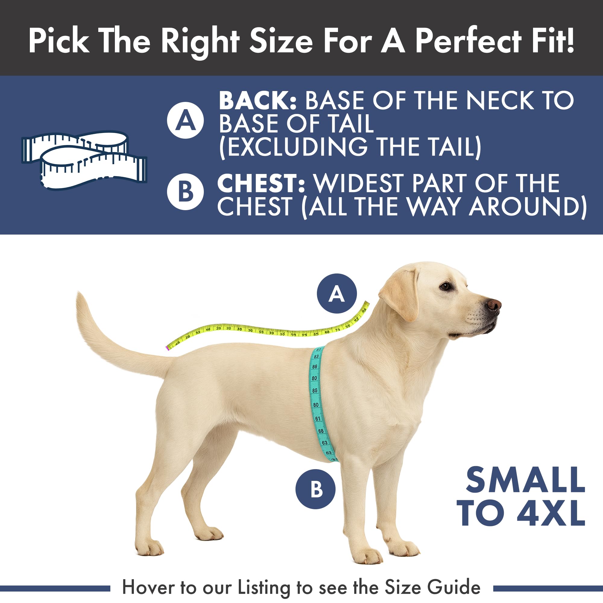 Spark Paws Varsity Dog Hoodie – Premium Dog Sweater for Small, Medium, and Large Dogs | Warm Clothes for Pets, Winter Jacket Alternative - Blue - XL