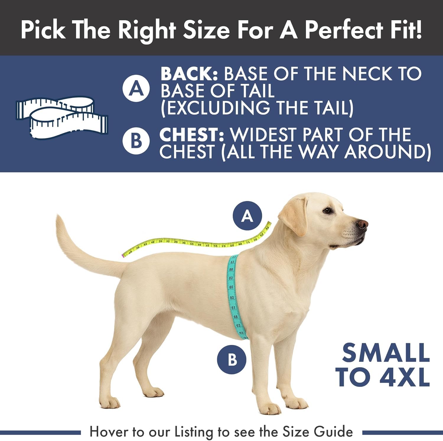 Spark Paws Dog Surgery Recovery Suit – Dog Recovery Suit After Surgery, Anti-Lick Dog Onesie, Abdominal Wound Protector, Soft Cone Alternative for Spay Neuter Male Female Pet Recovery - Dragons - 5XL