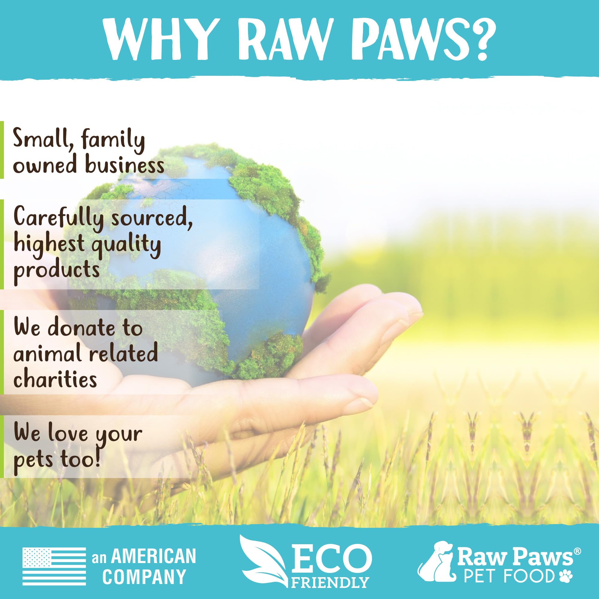 Raw Paws Soft Bone Shaped Dog Jerky Treats for Dogs - Peanut Butter & Chicken Recipe (16-Ounce) - Made in USA - Chicken Jerky Dog Treats - Soft Puppy Training Treats