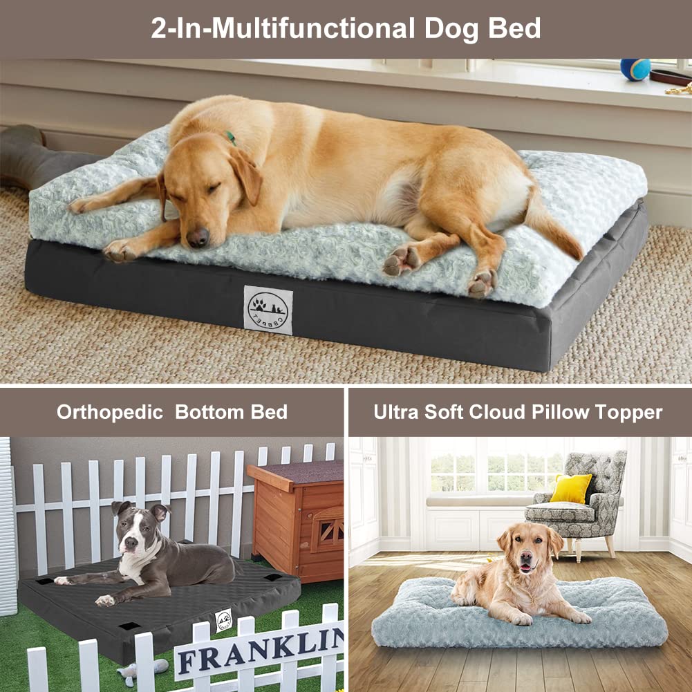 CBBPET Orthopedic Dog Bed for Small Medium Dogs with Plush Egg FoamSupport, Super Soft Washable Dog Bed, Top Soft,Bottom Canvas, Waterproof Dog Bed, Relaxing Sleep(Cool & Warm)