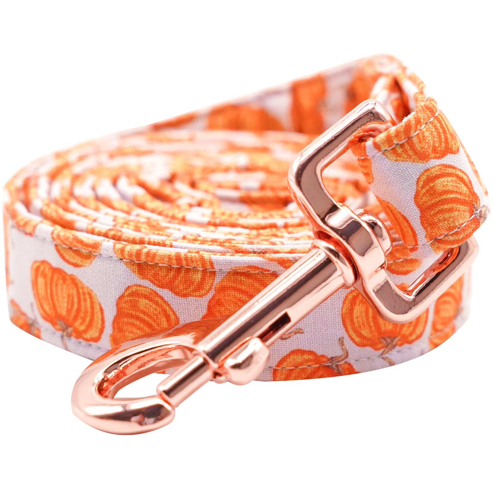 Lionheart glory Pumpkin Dog Leash Halloween Durable Dog Leashes with Comfortable Soft Handle for Small Medium and Large Girl or Boy Dogs